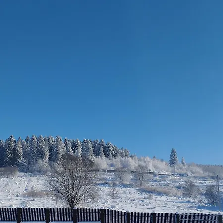 перлина карпат * Skhidnytsia